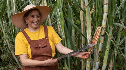 Creditos Avanza Mujer