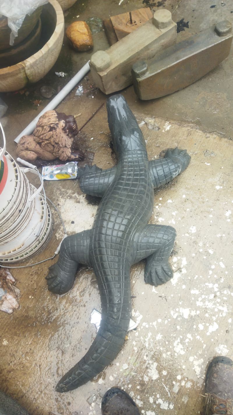 Cocodrilo